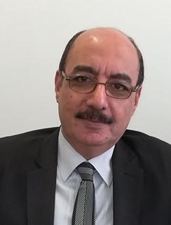 د. محمد محمود محمد